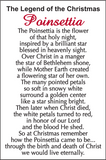 The Legend of the Christmas Poinsettia Token Charm