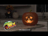 Jabberin' Jack Animated Talking Pumpkin